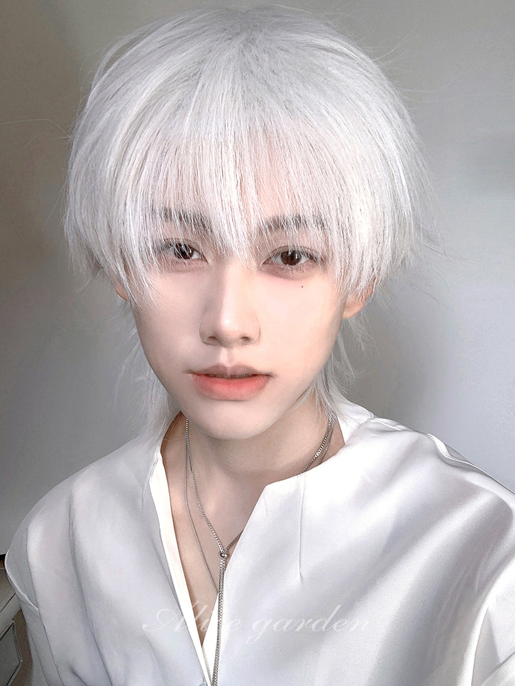 Casual Short White Wig for Men ON997