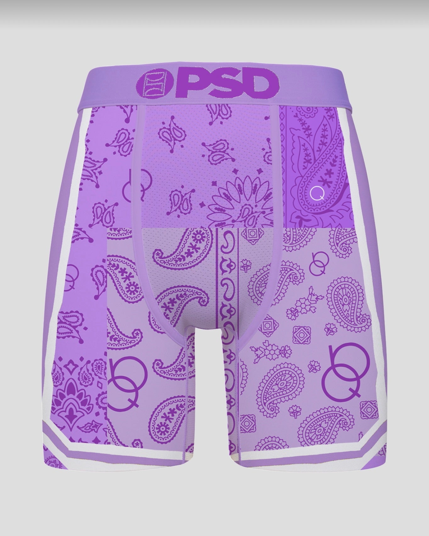 Paisley Briefs - Q Collection