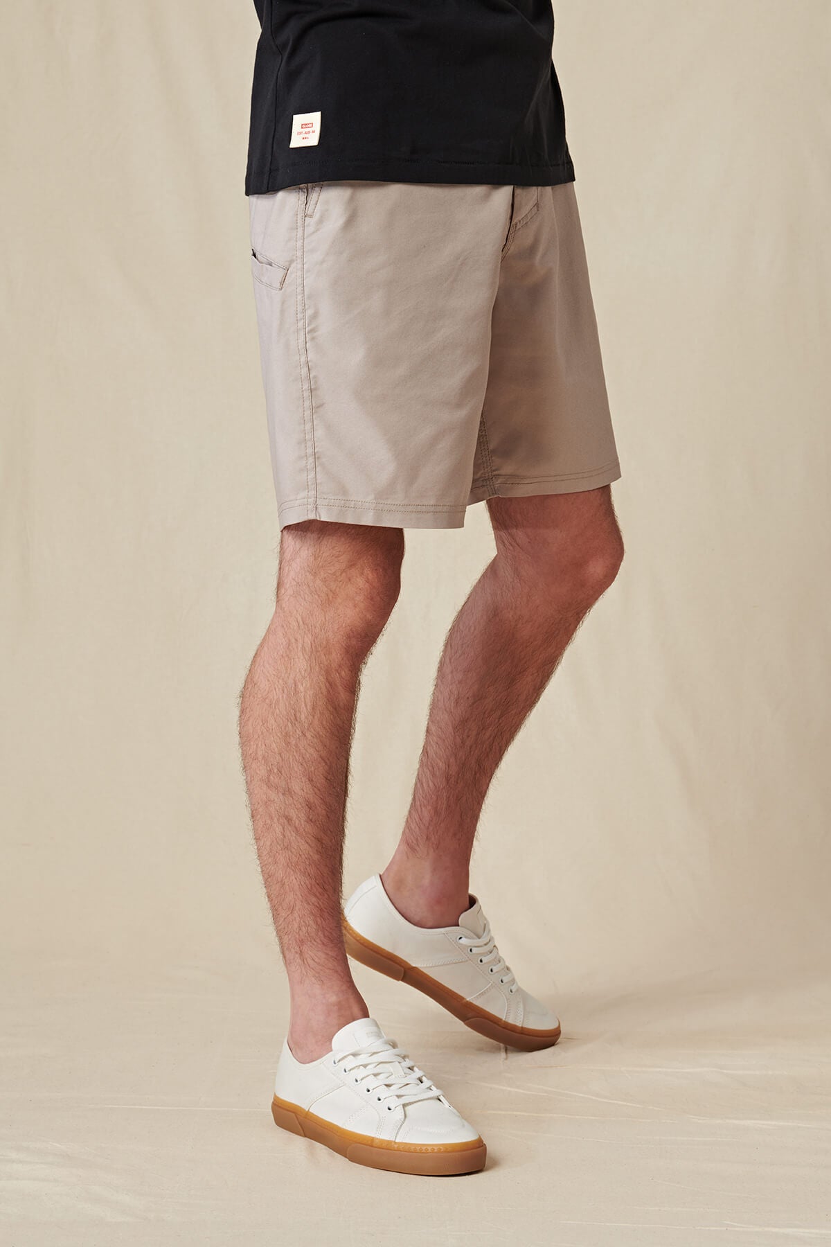 Stone Colored Casual Shorts