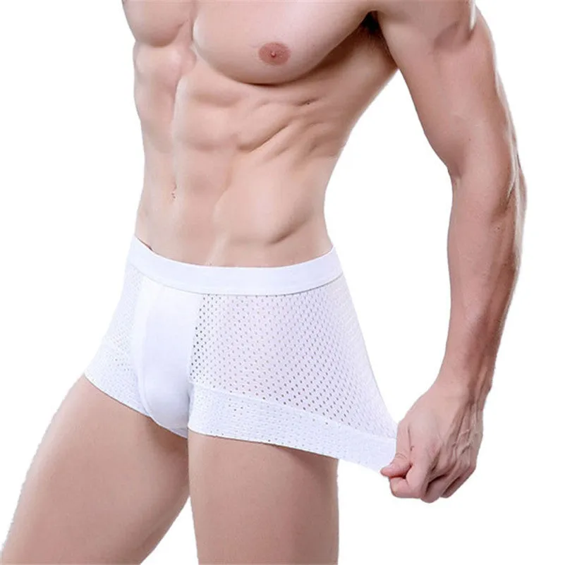 Men's Mesh Boxer Briefs XL-3XL, Sexy and Breathable Meryl Underwear for Man