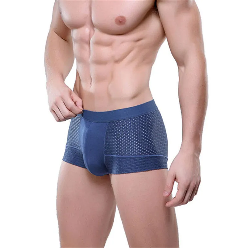 Men's Mesh Boxer Briefs XL-3XL, Sexy and Breathable Meryl Underwear for Man