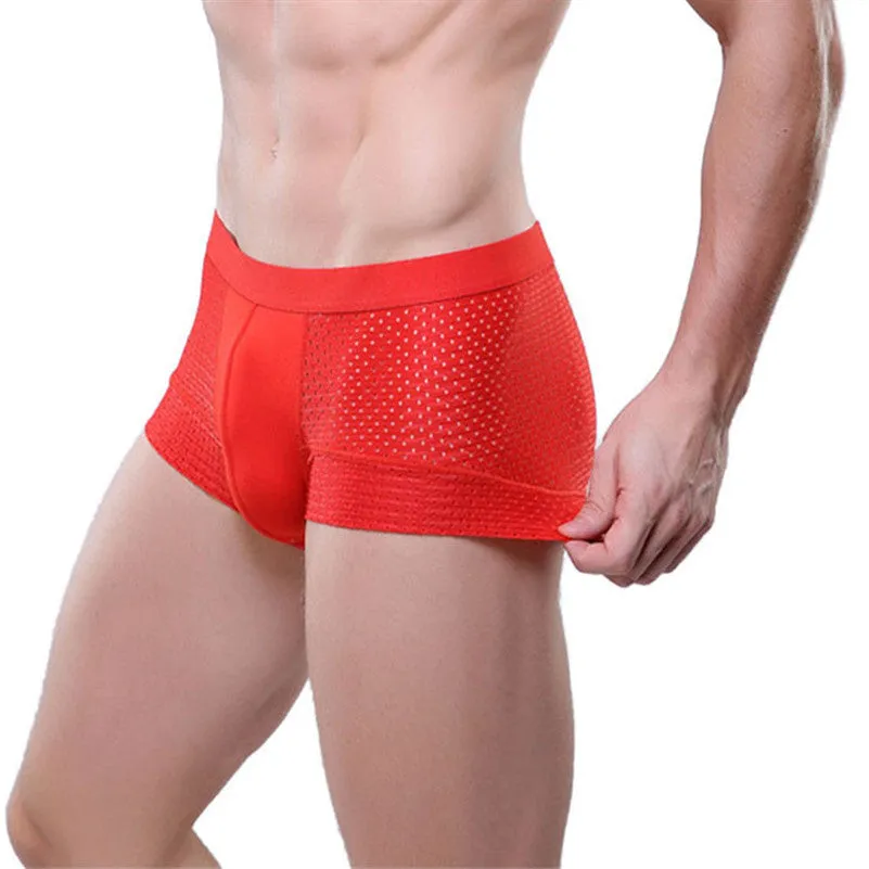 Men's Mesh Boxer Briefs XL-3XL, Sexy and Breathable Meryl Underwear for Man