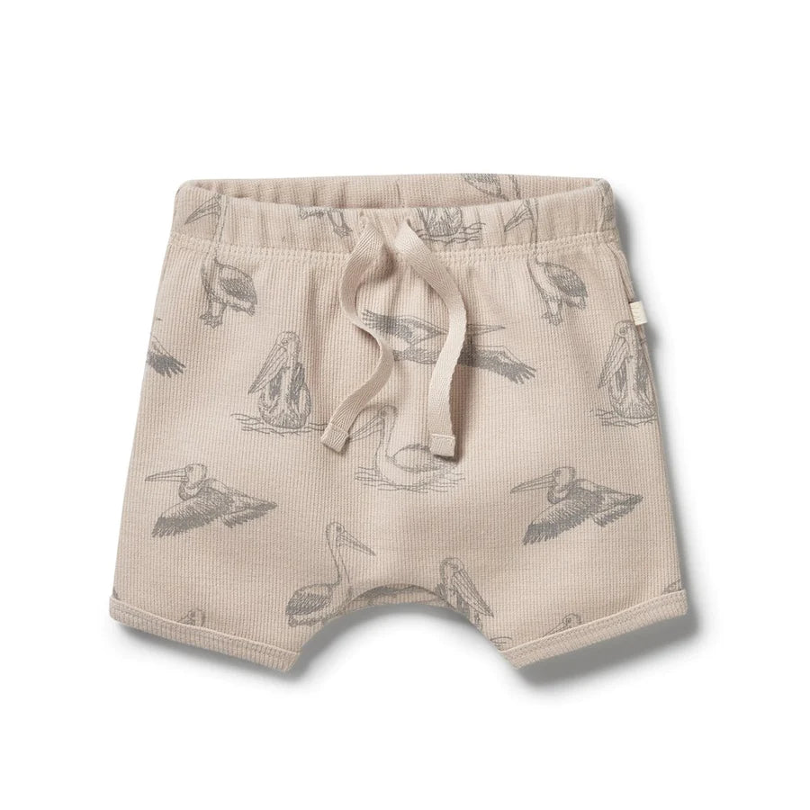 Wilson & Frenchy Organic Rib Tie Front Shorts Little Pelican Size 0-3 months