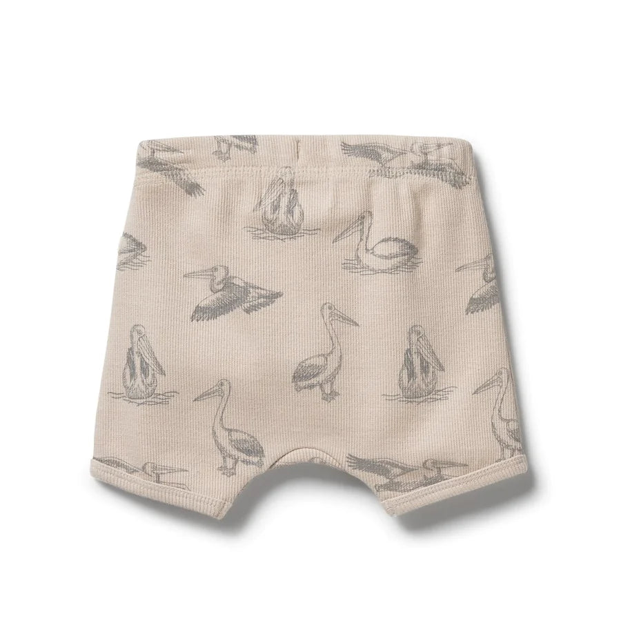 Wilson & Frenchy Organic Rib Tie Front Shorts Little Pelican Size 0-3 months