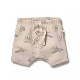 Wilson & Frenchy Organic Rib Tie Front Shorts Little Pelican Size 0-3 months